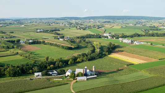 Lancaster County Farmland