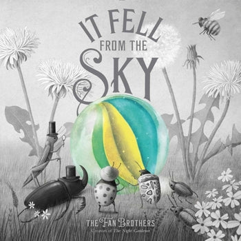 USED*It Fell from the Sky By Terry Fan and Eric Fan