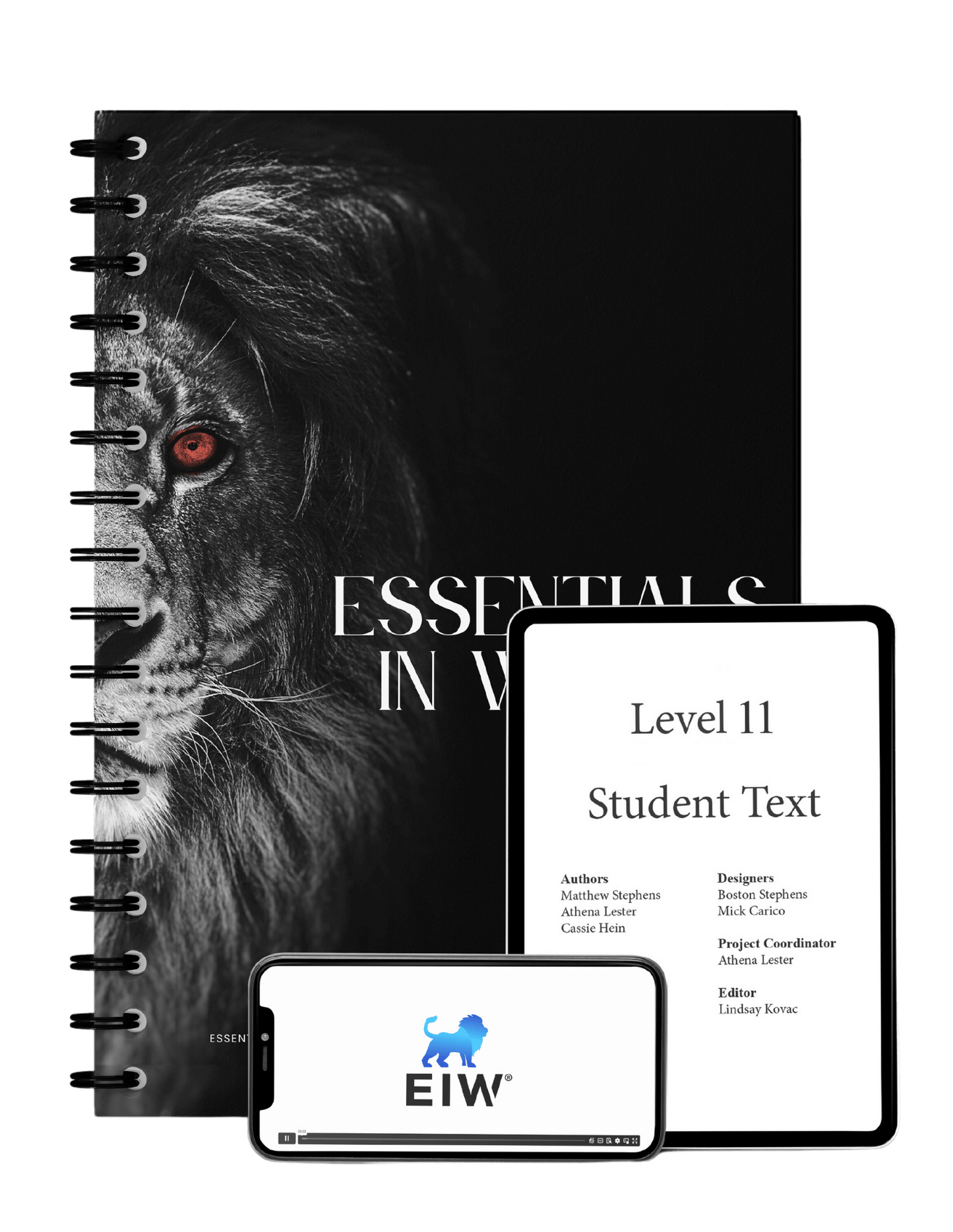 USED*Essentials in Writing Level 11 (UPDATED SEPTEMBER 2013)